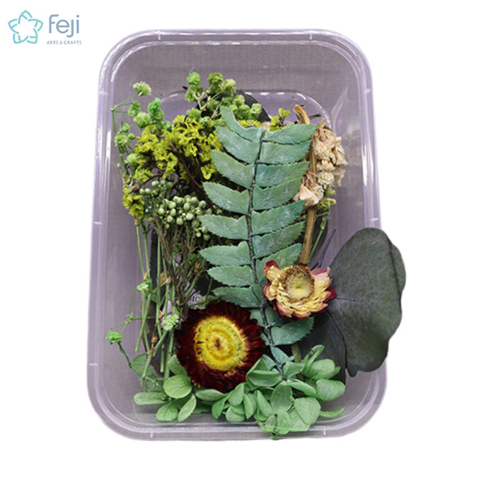 Natural Real Dried Flowers for Art Craft