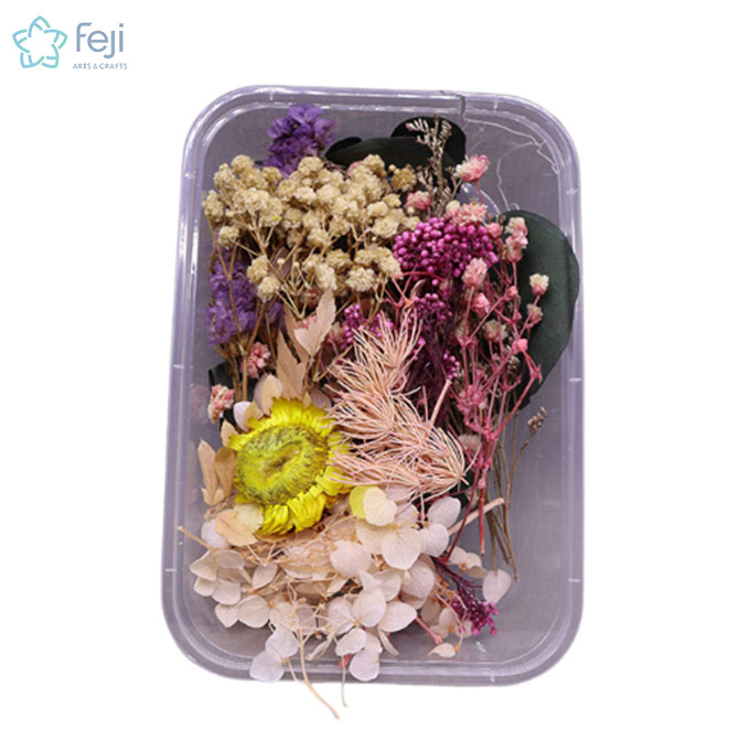 Natural Real Dried Flowers for Art Craft