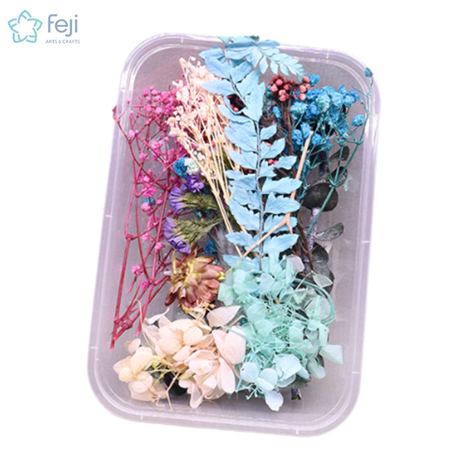 Natural Real Dried Flowers for Art Craft