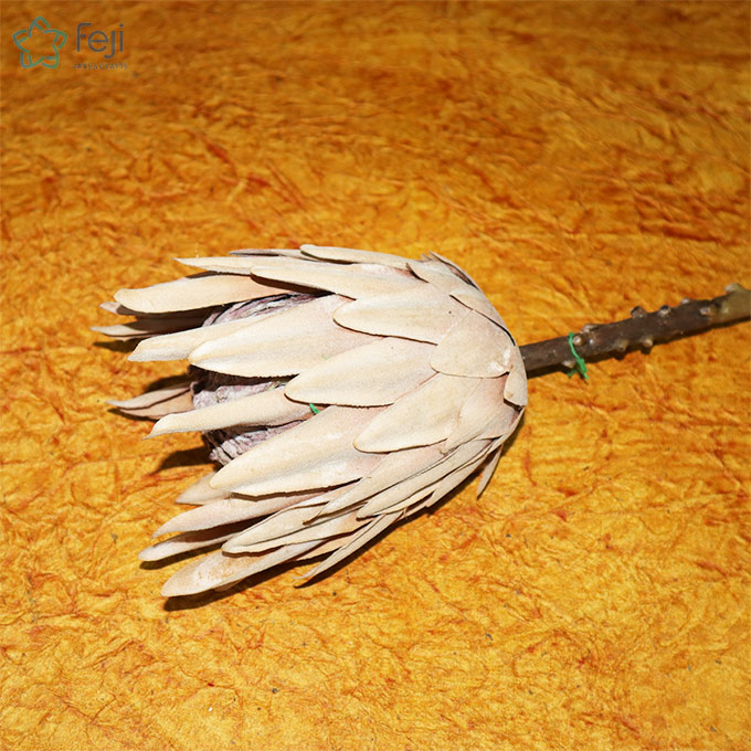 Dried Artificial protea flower